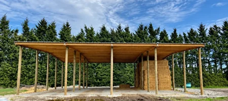 Shed 2