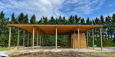 Shed 2
